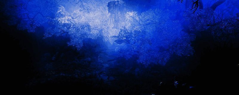 怪物猎人：荒野游戏画面