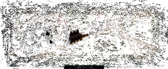 王国围攻筑墙保卫城镇画面