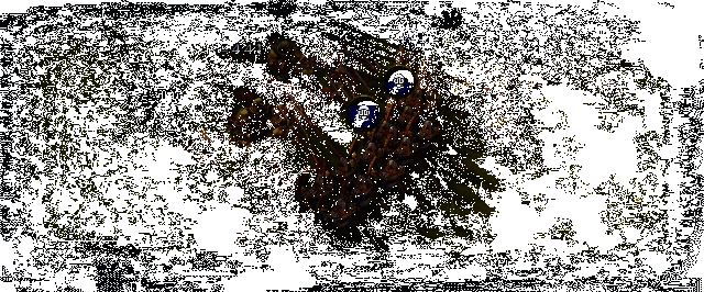 王国围攻雇佣士兵围剿敌人画面