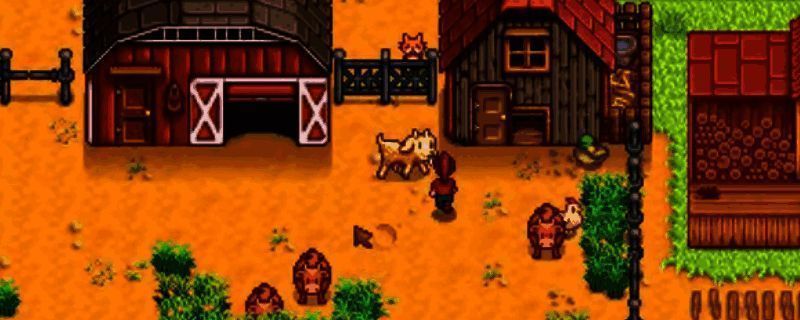 星露谷物语相关场景图片