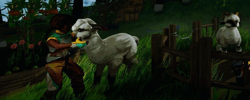 浮空岛滑翔翼图片