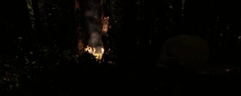 《森林之子》游戏画面