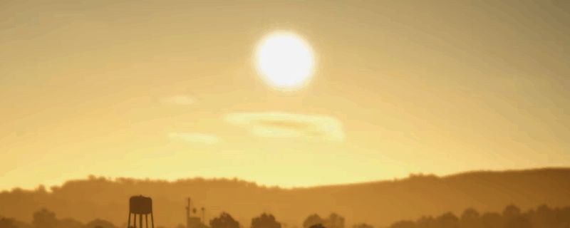 模拟农场25游戏画面