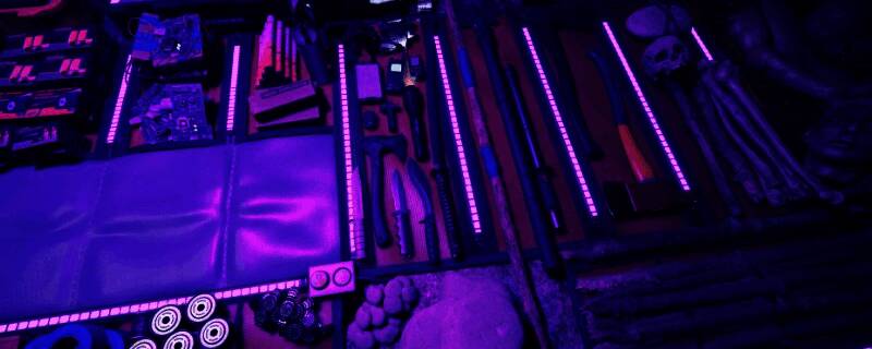 森林之子游戏相关画面