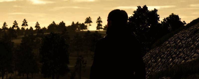 模拟农场25红甜菜相关图片