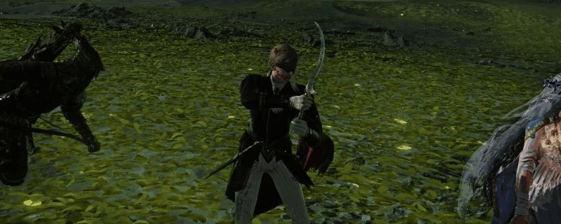 游戏内女爵手持匕首战斗画面，背景为黑暗风格战场环境