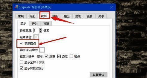Snipaste首选项中截屏页面的显示锚点选项界面