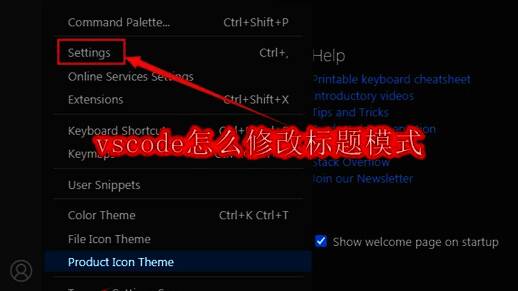 VSCode软件界面展示图,显示代码编辑主界面与底部状态栏设置入口