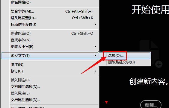路径文字选项中翻转功能被取消勾选，界面清晰展示取消状态