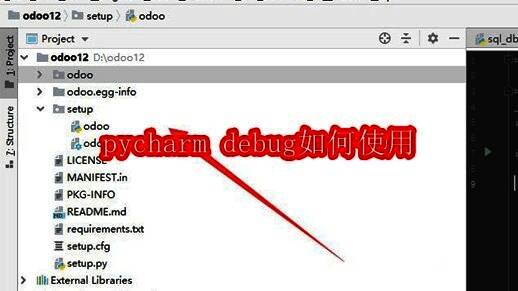 PyCharm软件界面展示项目导入后的文件结构视图