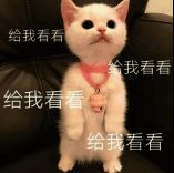 游戏界面展示星域通行证取消公告,背景为太空战场