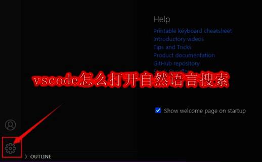 VSCode软件界面示意图展示设置路径