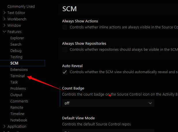 Vscode Features板块下的Terminal栏目位置图