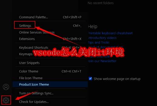VSCode底部设置按钮位置示意图
