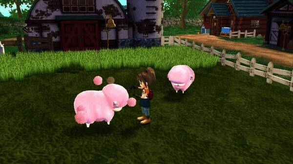 牧场物语美丽人生的温馨场景，主角正在照料动物并与村民互动