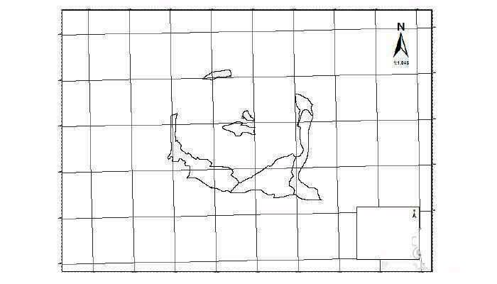 地图视图中成功插入经纬网后的效果展示,线条清晰,标注准确