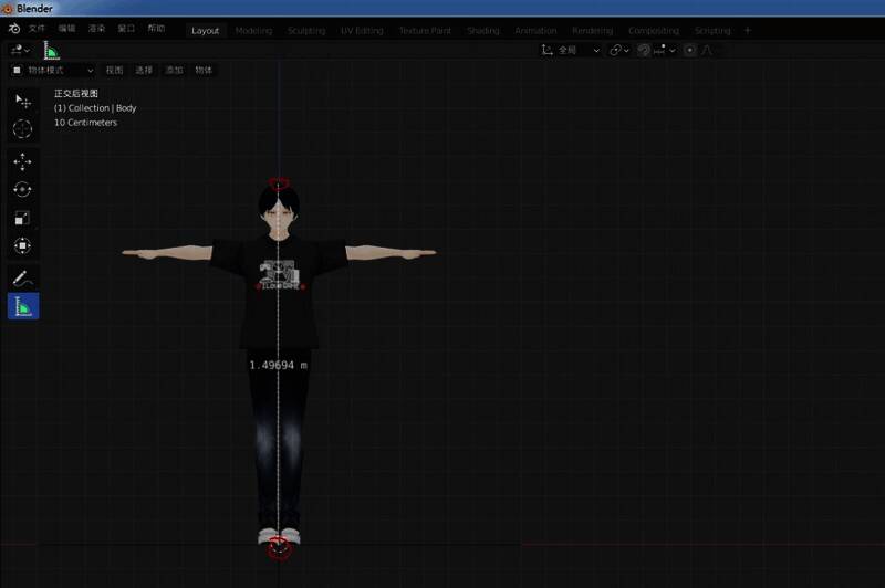 鼠标从头部拖动到脚底进行测量的过程示意图