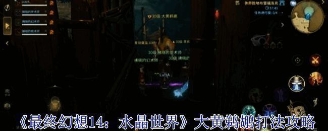 大黄鹈鹕战斗场景，背景可见三只青背魔鸟