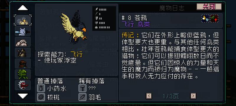 苍鸦外观展示，羽毛鲜艳，眼神锐利