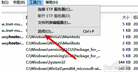 Everything设置页面左侧导航栏,历史选项被高亮显示