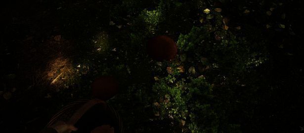 玩家手持放大镜观察蘑菇特写，背景为茂密森林