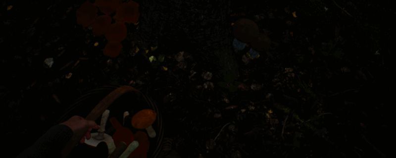 《蘑菇猎人模拟器》游戏场景截图,森林中玩家角色正在采摘各种色彩斑斓的蘑菇