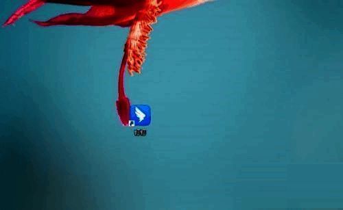 钉钉软件界面展示,显示各类办公功能选项