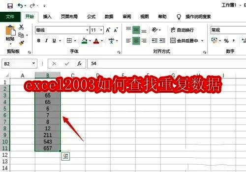 Excel 2003界面展示，主菜单栏清晰可见，背景简洁专业