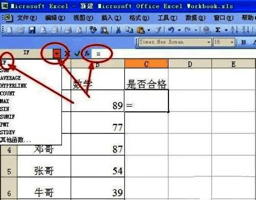 IF函数参数设置界面,展示条件输入示例