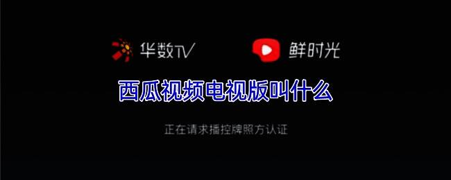 鲜时光TV应用界面展示，清晰呈现各视频分类入口