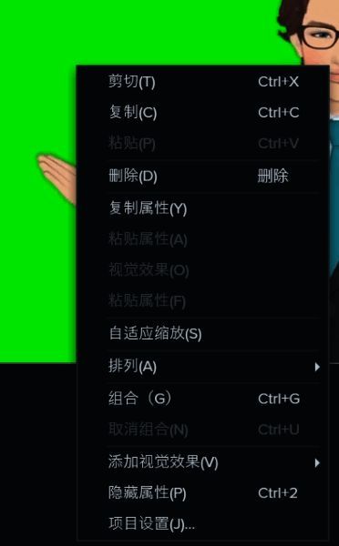 项目设置界面截图，标注重要调节选项