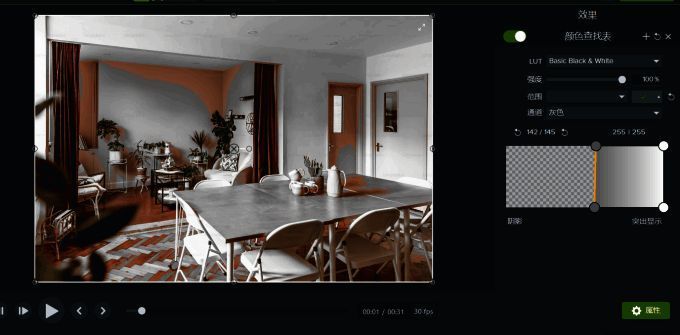 视频监视器中展示滤镜调整过程中的实时预览画面