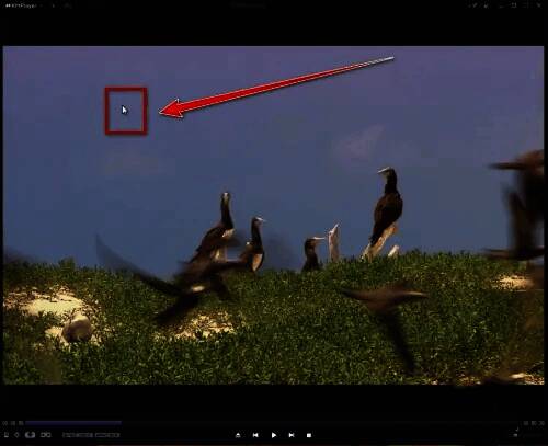 右键菜单展开状态,包含播放、字幕、音频等多个选项