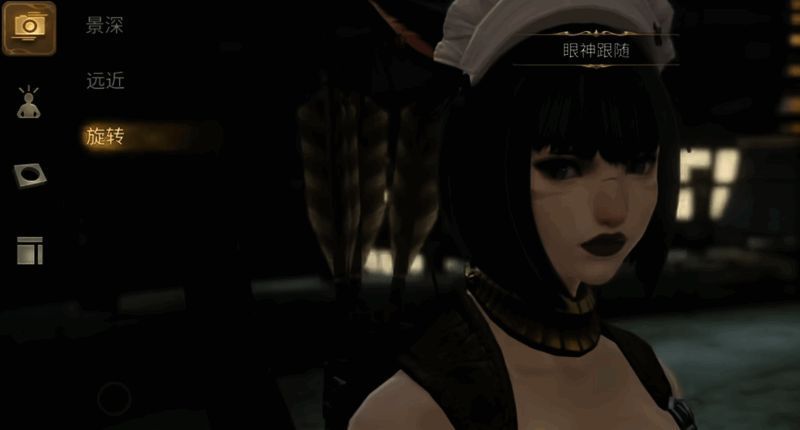 景深调节与镜头缩放操作界面示意图,展示不同设置下的画面变化