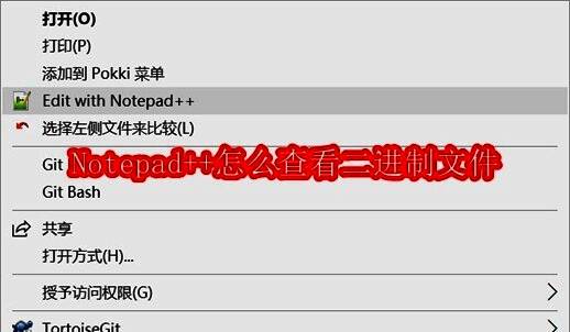 Notepad++主界面，右侧展示了一个二进制文件打开后的乱码显示