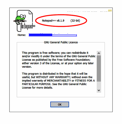 关于Notepad++的信息窗口，顶部明确标注版本号与构建日期