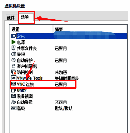 VMware Workstation 设置面板中的 VNC 连接选项位置
