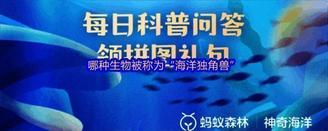 神奇海洋游戏界面截图，展示今日问题及选项