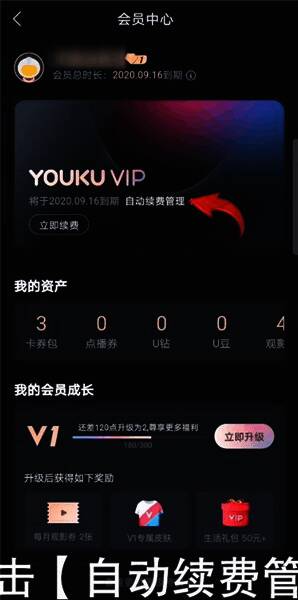 自动续费管理页面界面展示,列出当前订阅项目