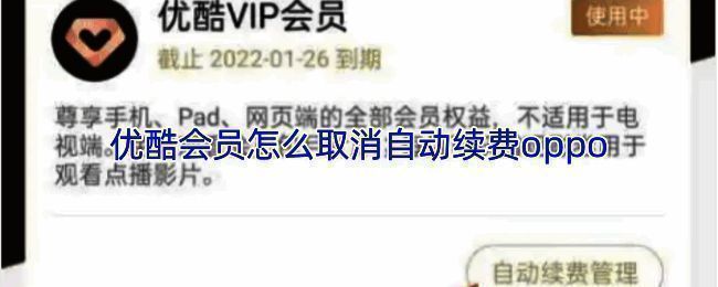 优酷会员兑换码相关图片,展示部分会员特权内容