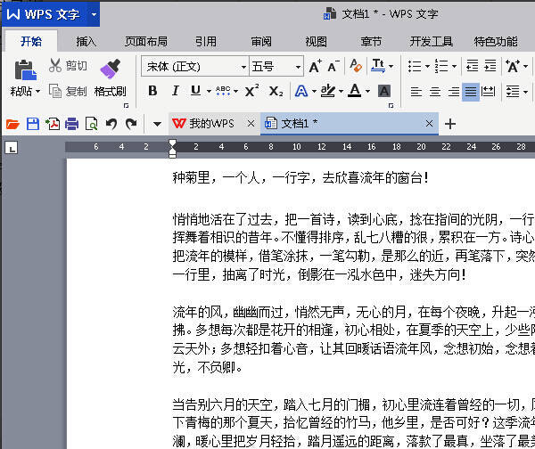 WPS Office界面展示，文档已打开处于编辑状态