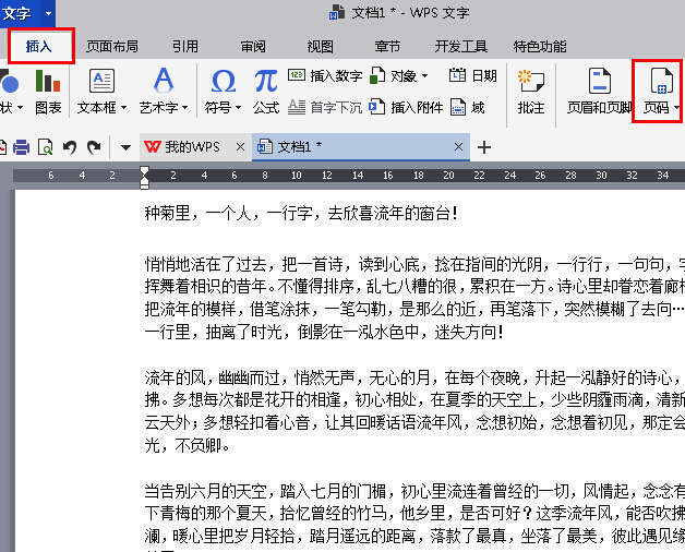 插入页码选项面板展开，展示多种页码样式可选