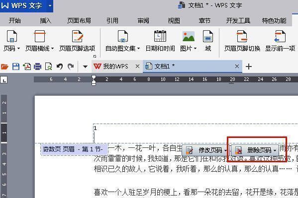页脚区域被选中，页码设置工具高亮显示删除选项