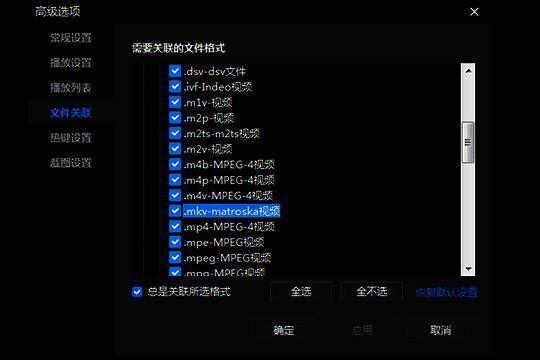 MKV格式勾选界面,展示如何激活Matroska视频支持