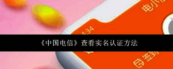 完整操作流程示意图,展示从登录到查看实名信息的全过程