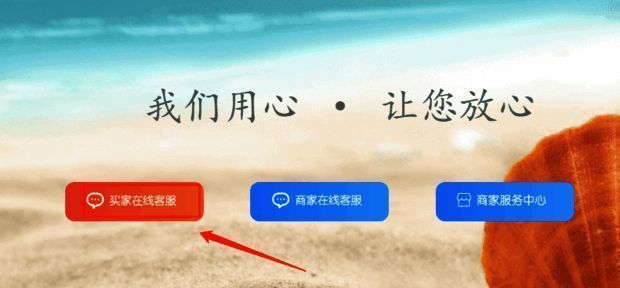 客服处理进度提示界面,显示已收到问题并正在审核中