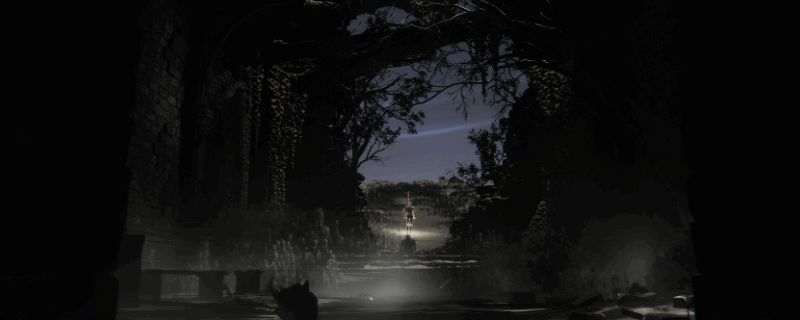 艾尔登法环黑夜君临游戏场景，主角手持石剑面对黑暗怪物