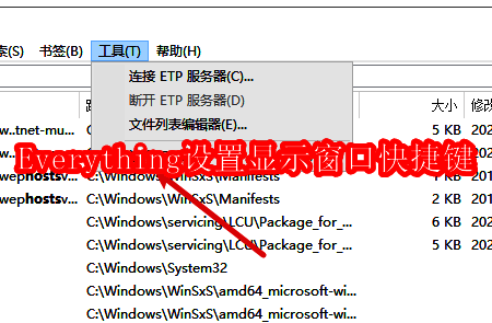 Everything软件主界面展示，界面整洁，功能选项清晰可见
