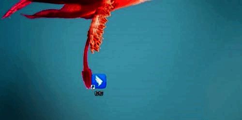 钉钉群聊界面，右侧显示钉钉脑图入口按钮