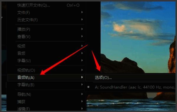 音频轨设置界面截图,展示多个可选音轨及调整选项